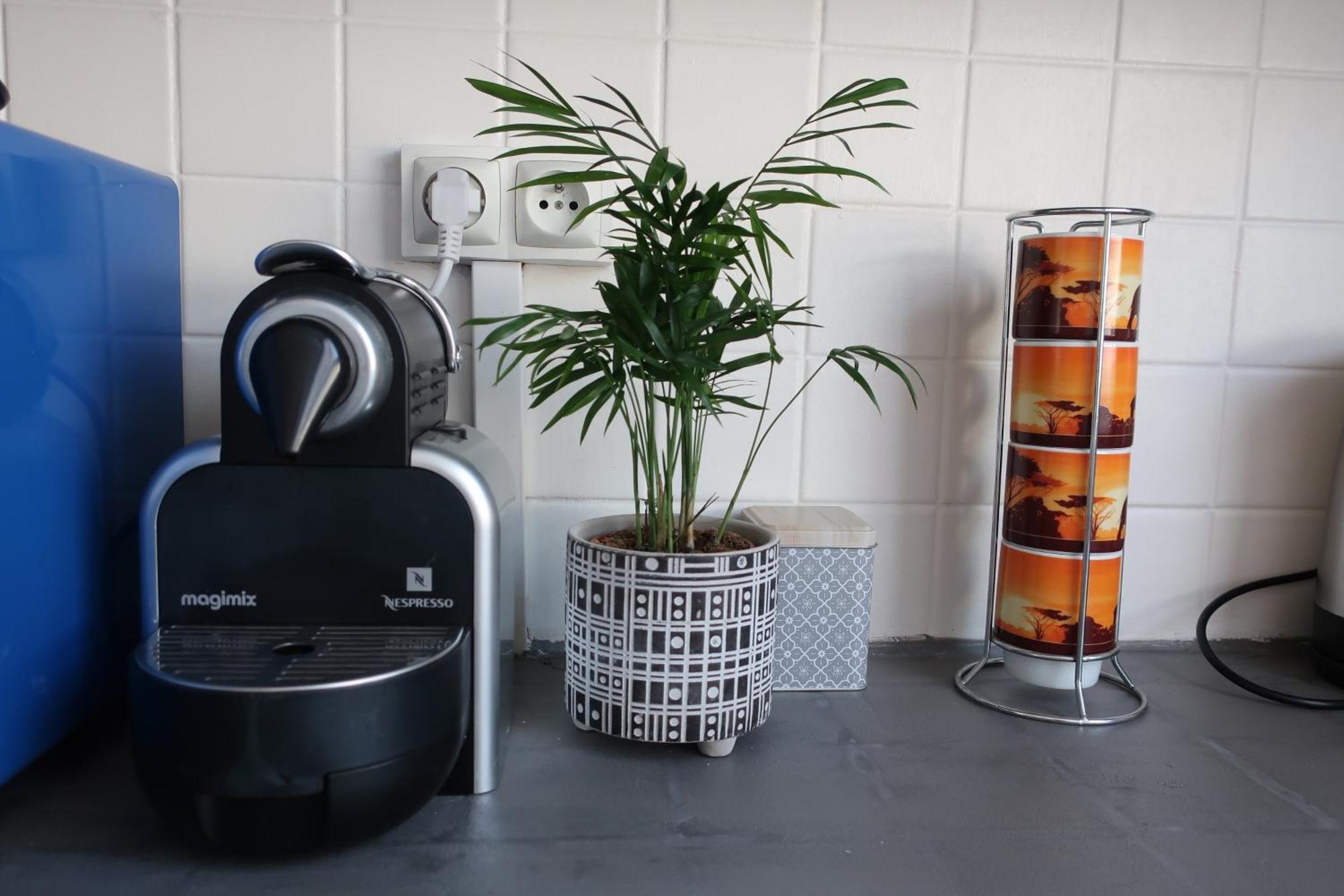 Appartement Avec Jardin Au Coeur De Rennes Extérieur photo